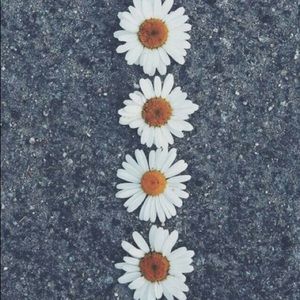 Meet your Posher, Mia